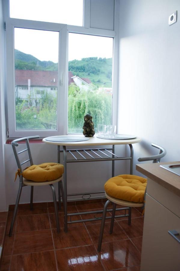 Vlad'S Downtown Apartment Petrila Bagian luar foto