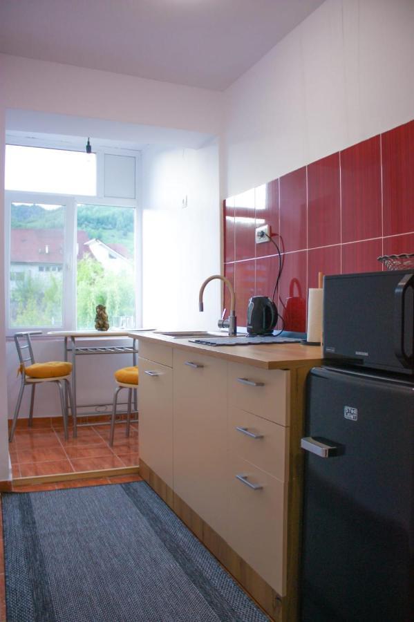 Vlad'S Downtown Apartment Petrila Bagian luar foto